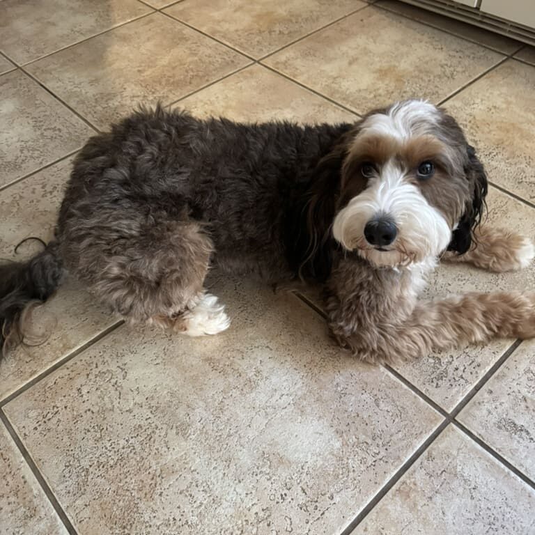 D7971D63-44DB-445D-9E70-3D8B3D815110_1_105_c